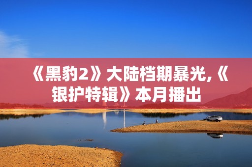 《黑豹2》大陆档期暴光,《银护特辑》本月播出