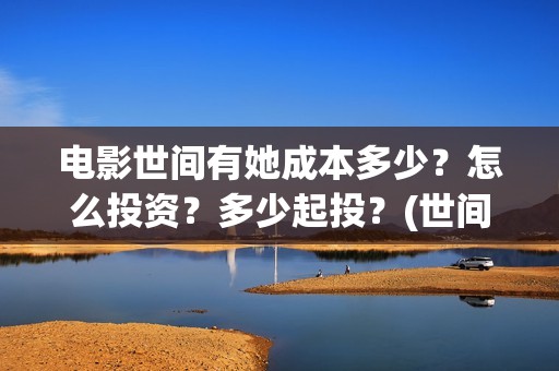 电影世间有她成本多少？怎么投资？多少起投？(世间有她是什么片)