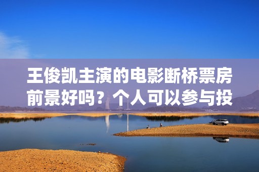 王俊凯主演的电影断桥票房前景好吗？个人可以参与投资认购吗？(王俊凯主演电影累计票房破20亿)