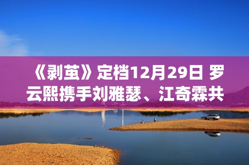 《剥茧》定档12月29日 罗云熙携手刘雅瑟、江奇霖共破六大奇案(剥离之茧是哪个电视剧)