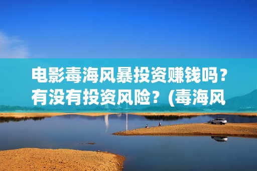 电影毒海风暴投资赚钱吗？有没有投资风险？(毒海风暴 电影)