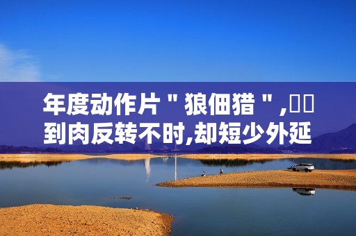 年度动作片＂狼佃猎＂,惓惓到肉反转不时,却短少外延