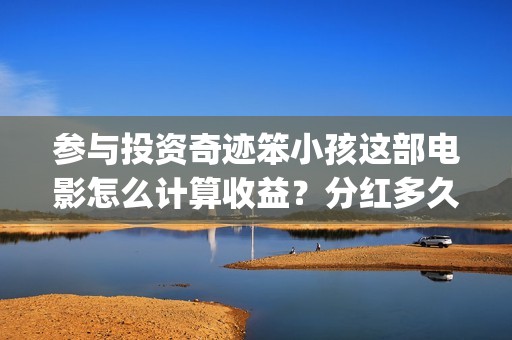 参与投资奇迹笨小孩这部电影怎么计算收益？分红多久到账？(参与投资人会坐牢吗)