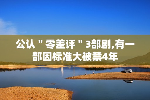 公认＂零差评＂3部剧,有一部因标准大被禁4年