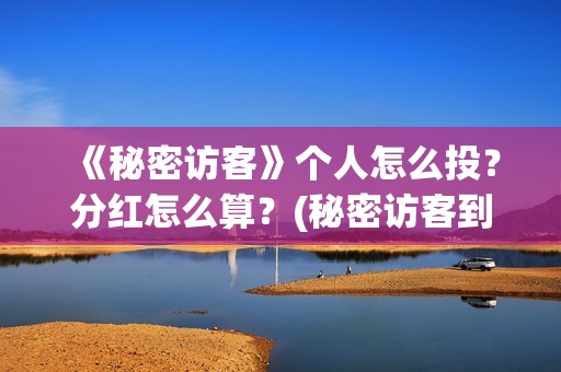 《秘密访客》个人怎么投？分红怎么算？(秘密访客到底演了个啥)