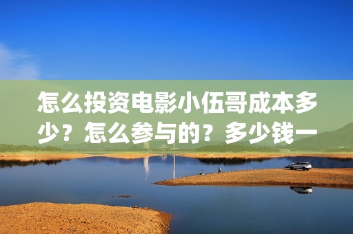 怎么投资电影小伍哥成本多少？怎么参与的？多少钱一份(怎么投资电影小说公司)