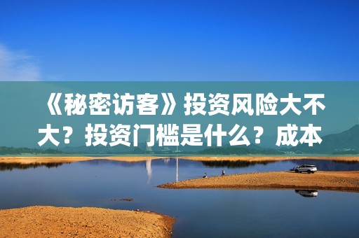 《秘密访客》投资风险大不大？投资门槛是什么？成本是多少？(秘密访客演了个啥)