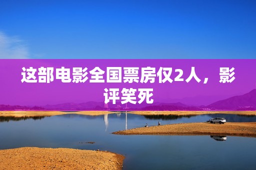 这部电影全国票房仅2人，影评笑死