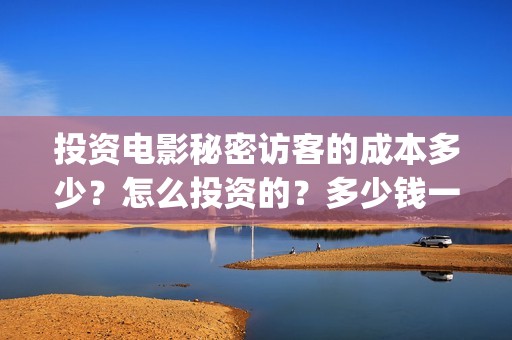 投资电影秘密访客的成本多少？怎么投资的？多少钱一份(电影秘密访客投资风险大吗)