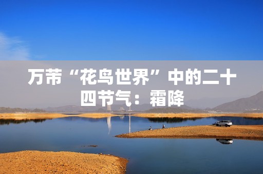 万芾“花鸟世界”中的二十四节气：霜降