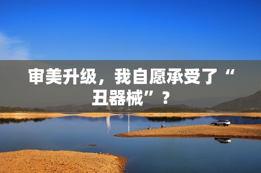 审美升级，我自愿承受了“丑器械”？