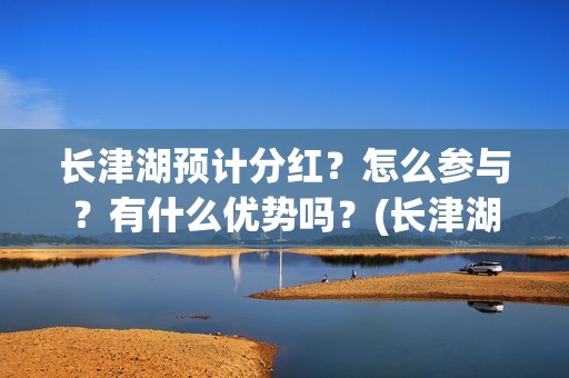 长津湖预计分红？怎么参与？有什么优势吗？(长津湖后期分红大概)