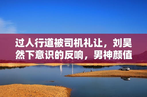 过人行道被司机礼让，刘昊然下意识的反响，男神颜值真高