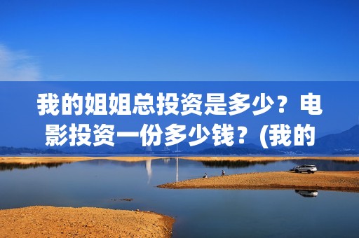 我的姐姐总投资是多少？电影投资一份多少钱？(我的姐姐投资商)