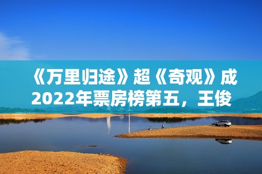 《万里归途》超《奇观》成2022年票房榜第五，王俊凯不输易烊千玺