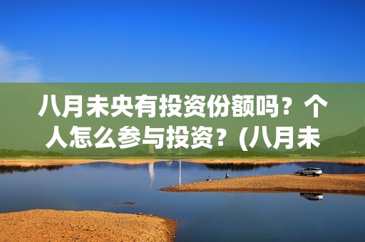 八月未央有投资份额吗？个人怎么参与投资？(八月未央总投资)