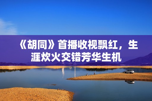 《胡同》首播收视飘红，生涯炊火交错芳华生机