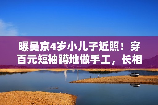 曝吴京4岁小儿子近照！穿百元短袖蹲地做手工，长相心爱太像谢楠