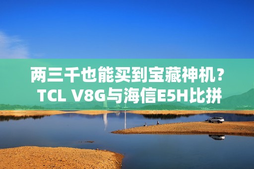 两三千也能买到宝藏神机？ TCL V8G与海信E5H比拼一波