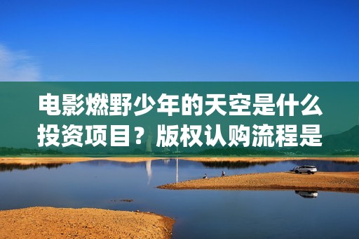 电影燃野少年的天空是什么投资项目？版权认购流程是什么？(燃野少年 mp4)