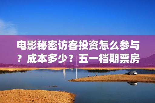 电影秘密访客投资怎么参与？成本多少？五一档期票房怎么样？(秘密访客电影价钱)