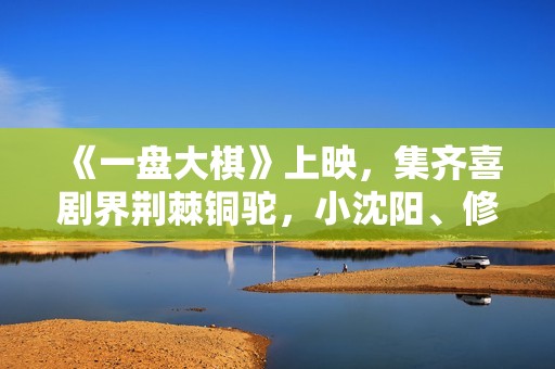 《一盘大棋》上映，集齐喜剧界荆棘铜驼，小沈阳、修睿演郭涛儿子