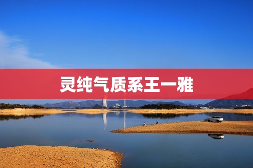 灵纯气质系王一雅