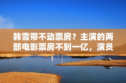 韩雪带不动票房？主演的两部电影票房不到一亿，演员不是首要成绩