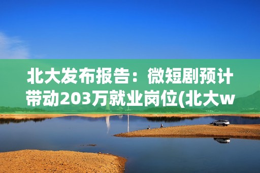 北大发布报告：微短剧预计带动203万就业岗位(北大wg)