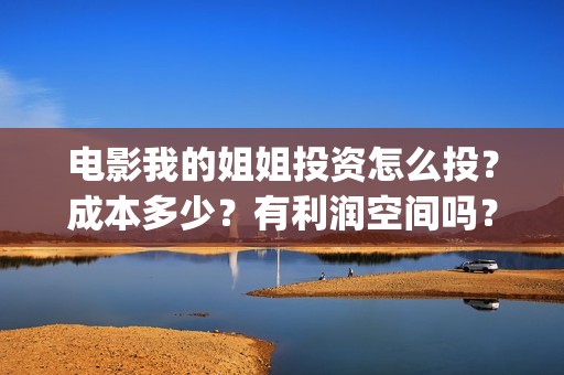 电影我的姐姐投资怎么投？成本多少？有利润空间吗？(电影我的姐姐口碑)