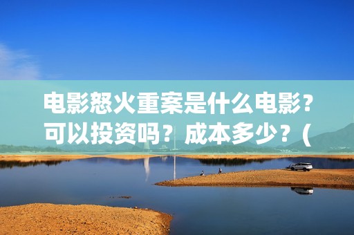 电影怒火重案是什么电影？可以投资吗？成本多少？(电影怒火重案是真实的吗)