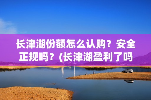 长津湖份额怎么认购？安全正规吗？(长津湖盈利了吗)