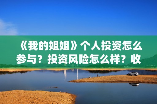 《我的姐姐》个人投资怎么参与？投资风险怎么样？收益空间怎么样？(《我的姐姐》百度百科)