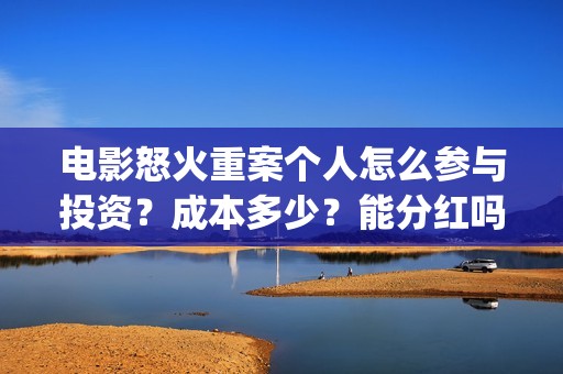 电影怒火重案个人怎么参与投资？成本多少？能分红吗？(怒火重案2020)