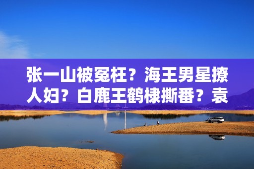 张一山被冤枉？海王男星撩人妇？白鹿王鹤棣撕番？袁冰妍复出？刘浩存搭上于正？