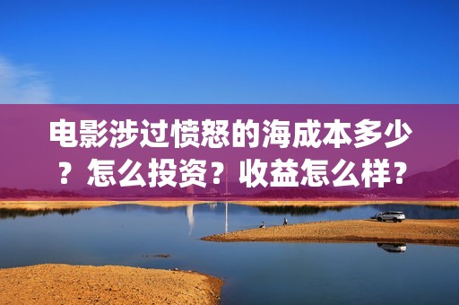 电影涉过愤怒的海成本多少？怎么投资？收益怎么样？(电影涉过愤怒的海观后感)
