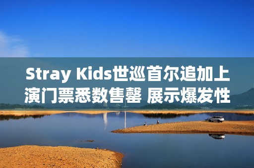 Stray Kids世巡首尔追加上演门票悉数售罄 展示爆发性人气！