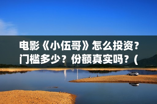 电影《小伍哥》怎么投资？门槛多少？份额真实吗？(小伍哥在线观看)