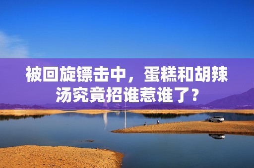 被回旋镖击中，蛋糕和胡辣汤究竟招谁惹谁了？