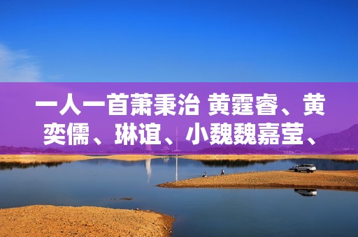 一人一首萧秉治 黄霆睿、黄奕儒、琳谊、小魏魏嘉莹、法兰轮番献唱挺萧秉治