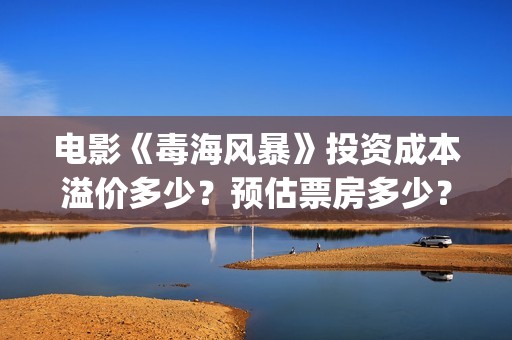 电影《毒海风暴》投资成本溢价多少？预估票房多少？怎么投资? (电影《毒海风暴》在线观看)