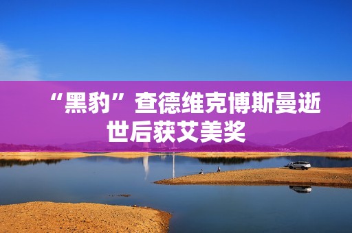 “黑豹”查德维克博斯曼逝世后获艾美奖