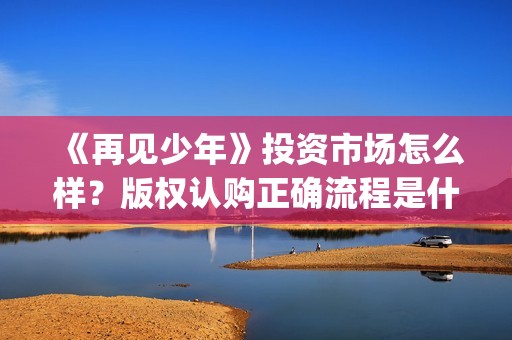 《再见少年》投资市场怎么样？版权认购正确流程是什么？投资成本多少？(再见少年全剧情)