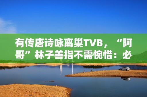有传唐诗咏离巢TVB，“阿哥”林子善指不需惋惜：必然支撑
