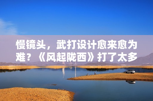 慢镜头，武打设计愈来愈为难？《风起陇西》打了太多人的“脸”