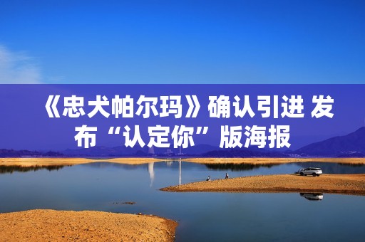 《忠犬帕尔玛》确认引进 发布“认定你”版海报