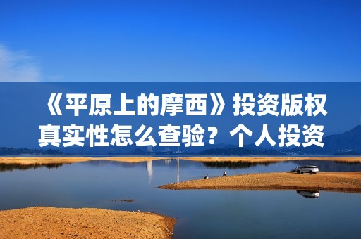 《平原上的摩西》投资版权真实性怎么查验？个人投资规避哪些风险？(平原上的摩西主要讲了什么)