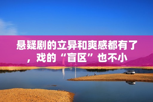 悬疑剧的立异和爽感都有了，戏的“盲区”也不小