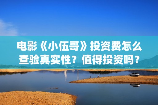 电影《小伍哥》投资费怎么查验真实性？值得投资吗？投资收益怎么计算(小伍哥在线观看)