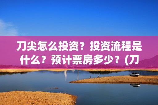 刀尖怎么投资？投资流程是什么？预计票房多少？(刀尖成本)
